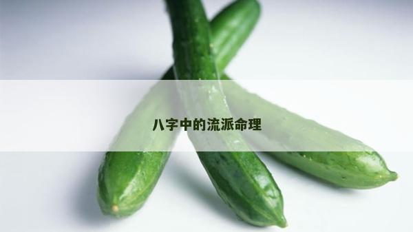 八字中的流派命理