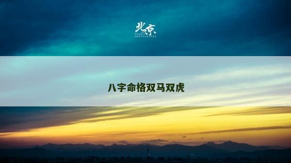 八字命格雙馬雙虎