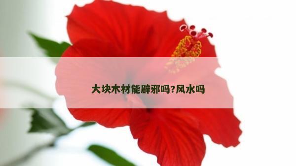 大塊木材能辟邪嗎?風水嗎