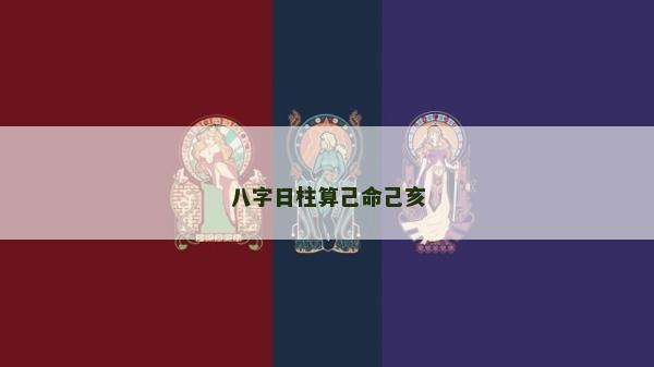 八字日柱算己命己亥