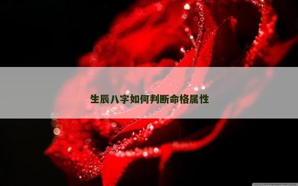 生辰八字如何判斷命格屬性