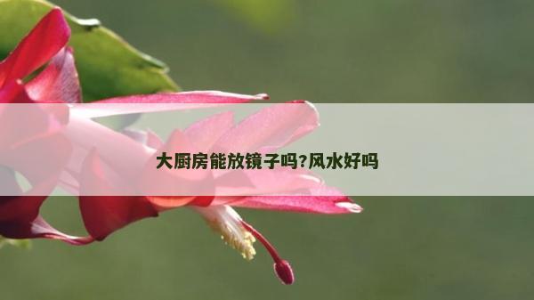 大廚房能放鏡子嗎?風水好嗎 大廚房能放鏡子嗎?風水好嗎