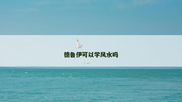 德魯伊可以學風水嗎