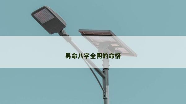 男命八字全陰的命格