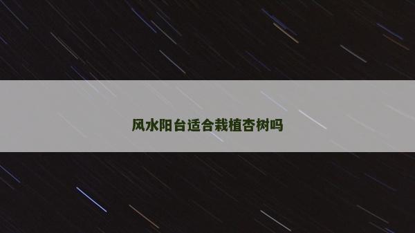 風(fēng)水陽(yáng)臺(tái)適合栽植杏樹(shù)嗎