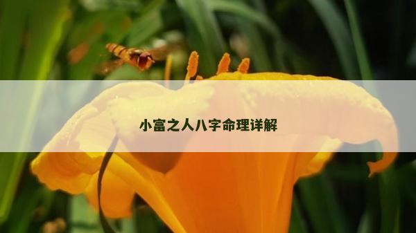小富之人八字命理詳解