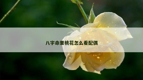 八字命里桃花怎么看配偶