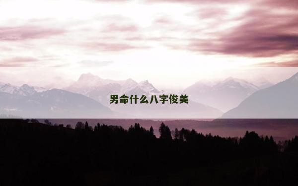 男命什么八字俊美