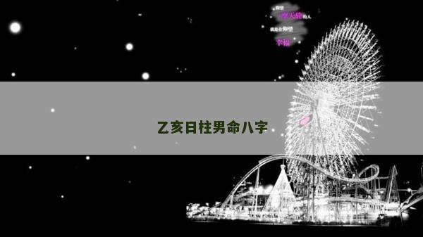 乙亥日柱男命八字