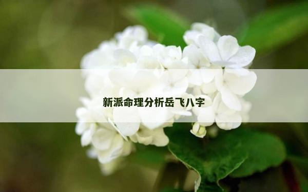 新派命理分析岳飛八字