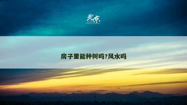 房子里能種樹嗎?風水嗎