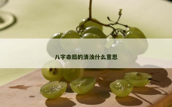 八字命局的清濁什么意思
