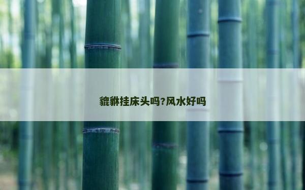 貔貅掛床頭嗎?風水好嗎