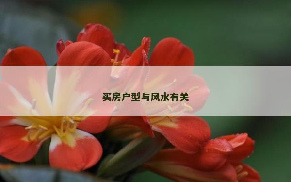 買房戶型與風水有關