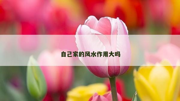 自己家的風水作用大嗎