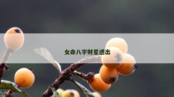 女命八字財(cái)星透出