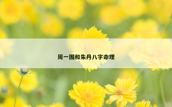 周一圍和朱丹八字命理