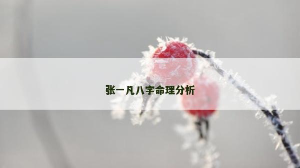 張一凡八字命理分析 張一凡八字命理分析