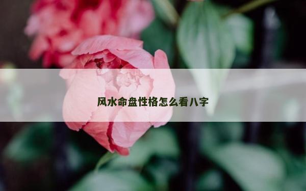 風水命盤性格怎么看八字