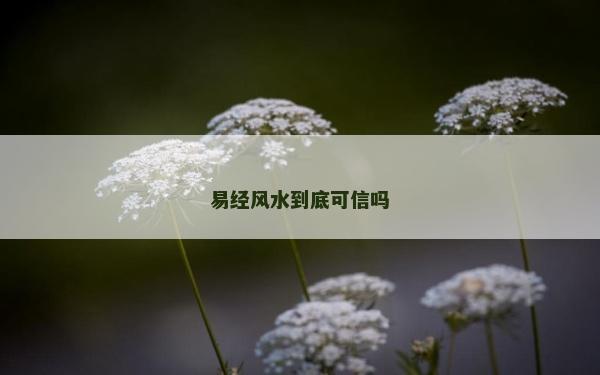 易經風水到底可信嗎