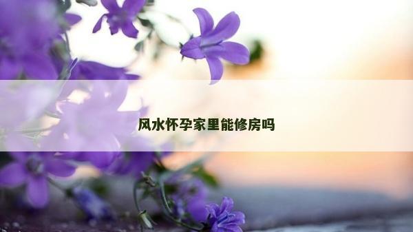 風(fēng)水懷孕家里能修房嗎