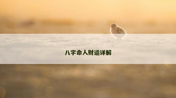 八字命人財運詳解