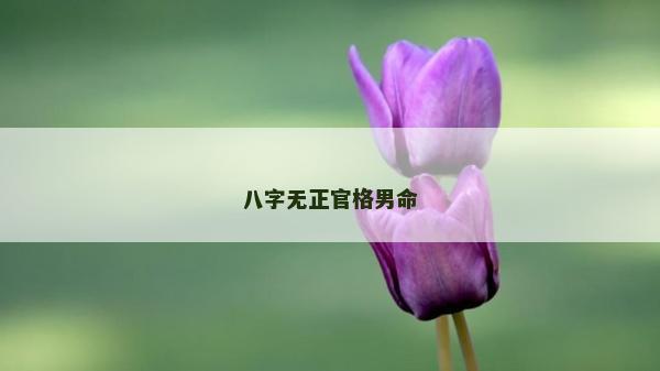 八字無正官格男命