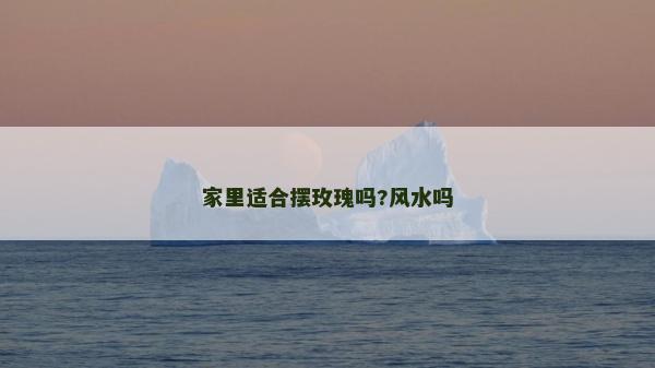 家里適合擺玫瑰嗎?風(fēng)水嗎
