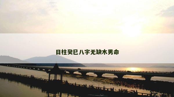 日柱癸巳八字無缺木男命