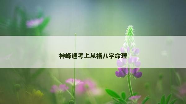 神峰通考上從格八字命理