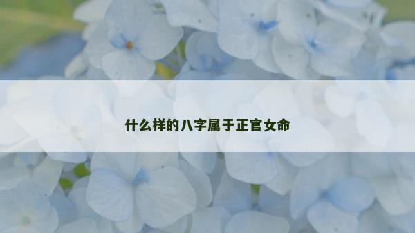 什么樣的八字屬于正官女命