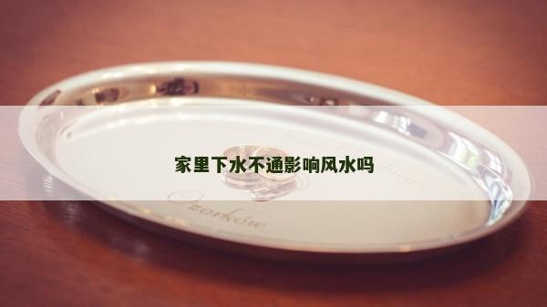 家里下水不通影響風水嗎