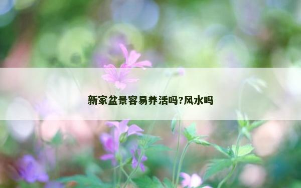 新家盆景容易養(yǎng)活嗎?風(fēng)水嗎 新家盆景容易養(yǎng)活嗎?風(fēng)水嗎