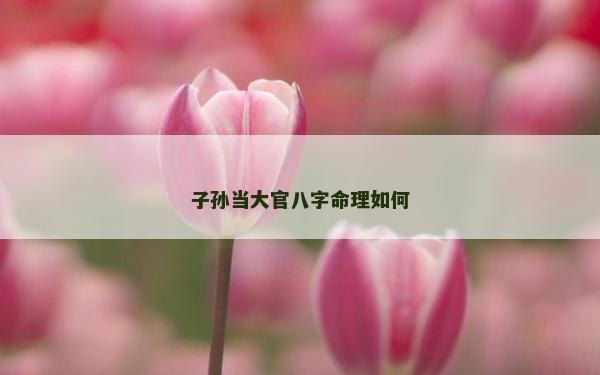 子孫當大官八字命理如何