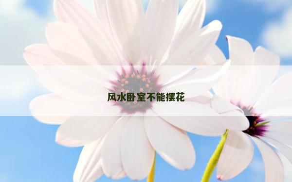 風水臥室不能擺花