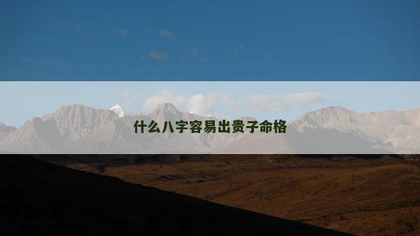 什么八字容易出貴子命格