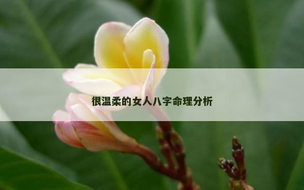 很溫柔的女人八字命理分析