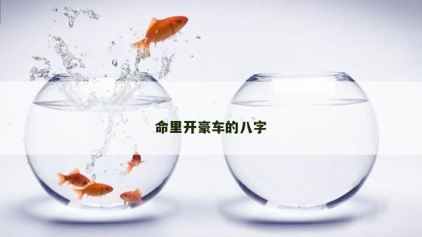 命里開豪車的八字