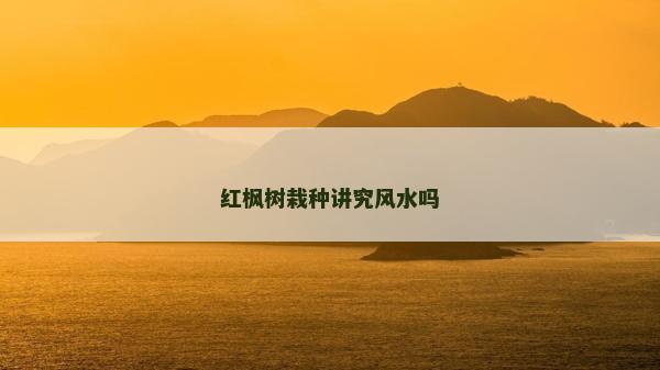 紅楓樹栽種講究風水嗎