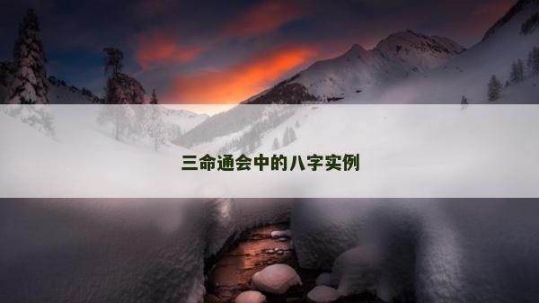 三命通會中的八字實例