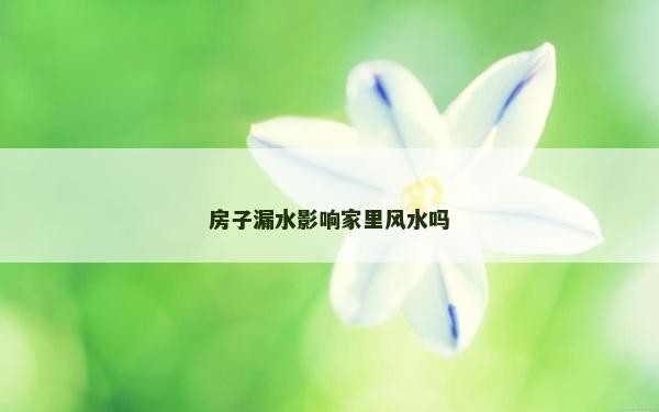 房子漏水影響家里風水嗎