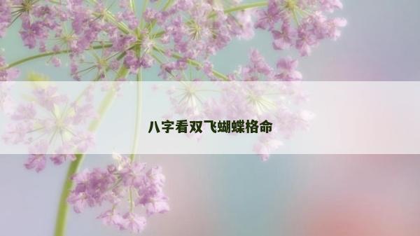 八字看雙飛蝴蝶格命