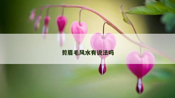 剪眉毛風水有說法嗎