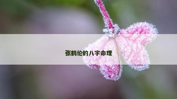 張鶴倫的八字命理