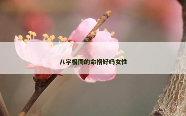 八字相同的命格好嗎女性