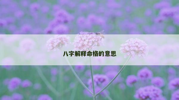 八字解釋命格的意思