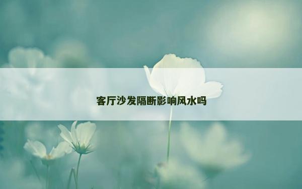 客廳沙發隔斷影響風水嗎