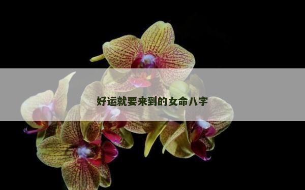 好運(yùn)就要來(lái)到的女命八字 好運(yùn)就要來(lái)到的女命八字