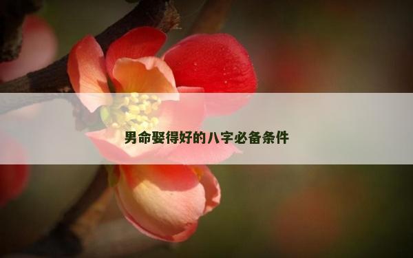 男命娶得好的八字必備條件