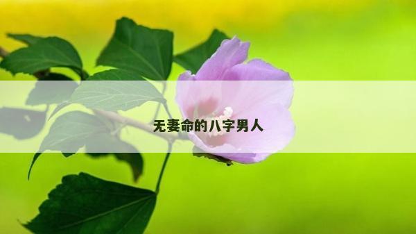 無妻命的八字男人